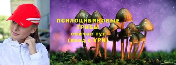 тгк Гусиноозёрск