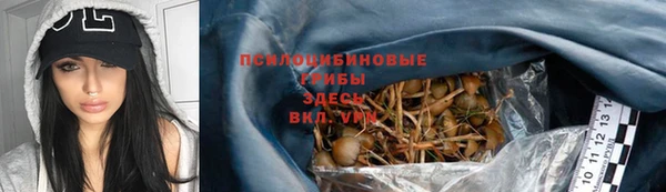 дживик Гусь-Хрустальный