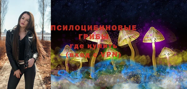 тгк Гусиноозёрск