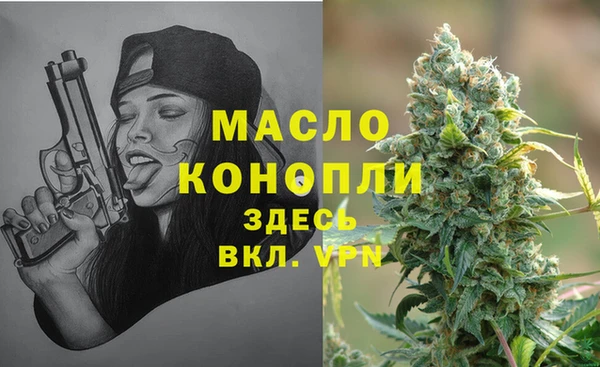 дживик Гусь-Хрустальный
