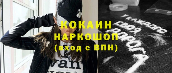 дживик Гусь-Хрустальный
