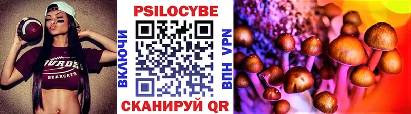Купить закладки  Заречный  Галлюциногенные грибы GOLDEN TEACHER 
